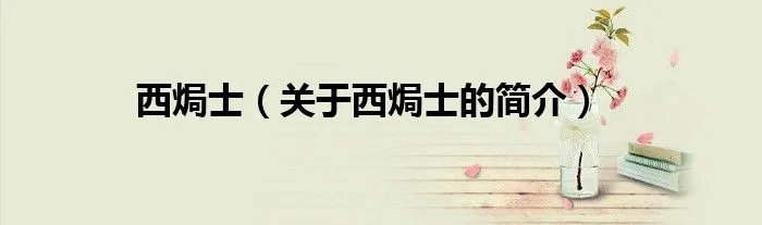 西焗士（关于西焗士的简介）