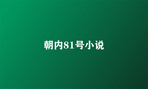 朝内81号小说