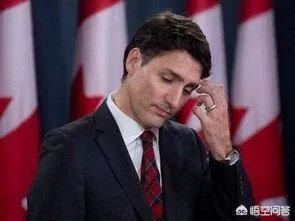 加拿大开始调查总理办公室的受贿丑闻，你是怎么看待的？