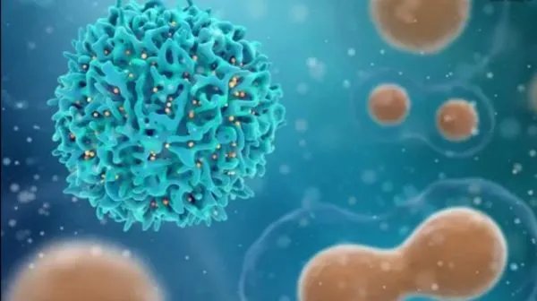 31省份新增本土确诊21例，这些病例分布在了哪儿？