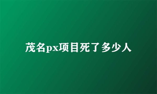 茂名px项目死了多少人