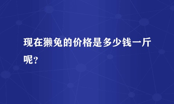 现在獭兔的价格是多少钱一斤呢？