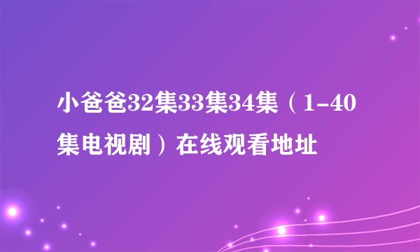 小爸爸32集33集34集（1-40集电视剧）在线观看地址