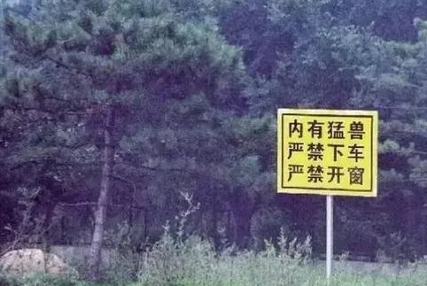 虎咬人视频公布 老虎伤人完整视频首次曝光责任究竟在谁