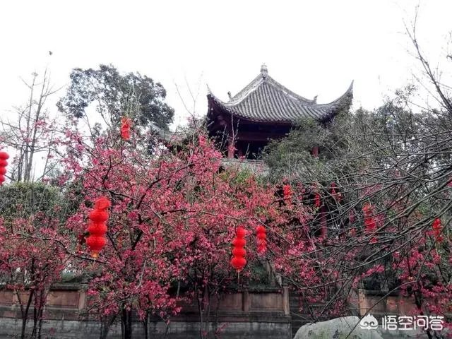 三道堰小产权房