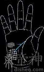 男人的手相算命图解大全 男人手相图解大全