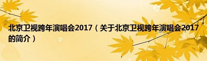 北京卫视跨年演唱会2017（关于北京卫视跨年演唱会2017的简介）