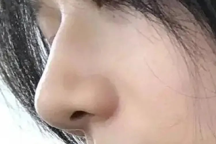 人的五官指什么部位