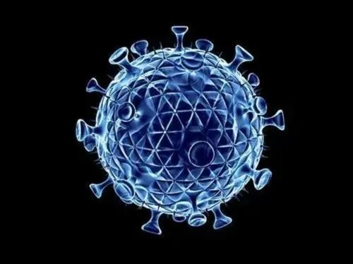 31省份新增本土确诊21例，这些病例分布在了哪儿？