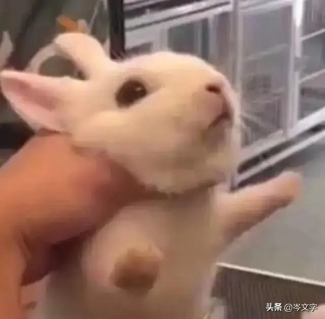 如何评价电影《左耳》？