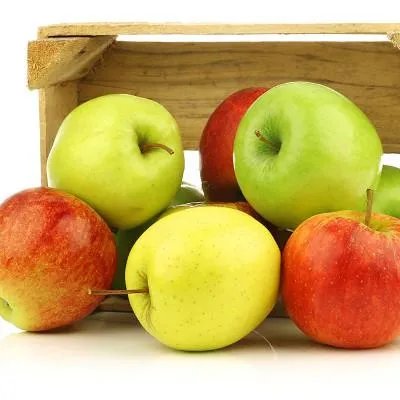 冬季晚上吃什么减肥