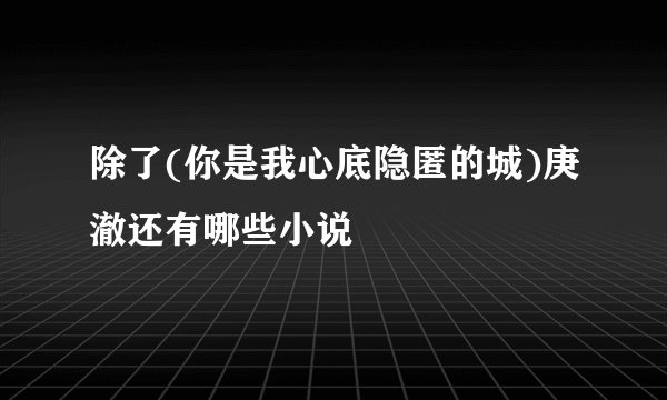 除了(你是我心底隐匿的城)庚澈还有哪些小说