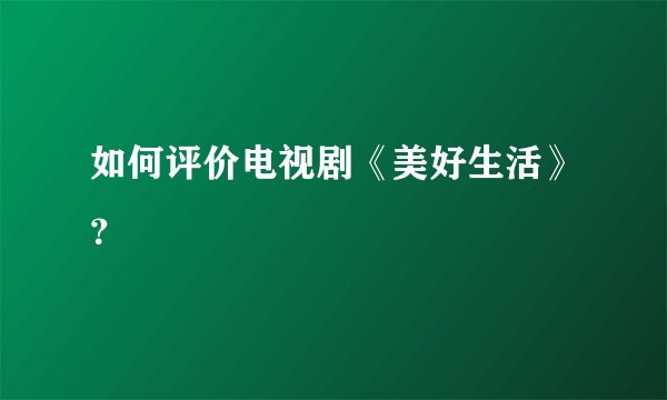 如何评价电视剧《美好生活》？