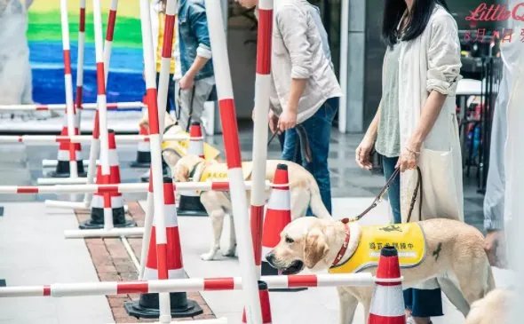 如何评价电影《小Q》？