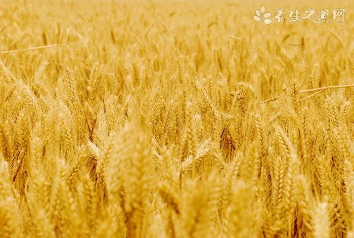 中秋父母礼物推荐