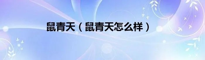 鼠青天（鼠青天怎么样）