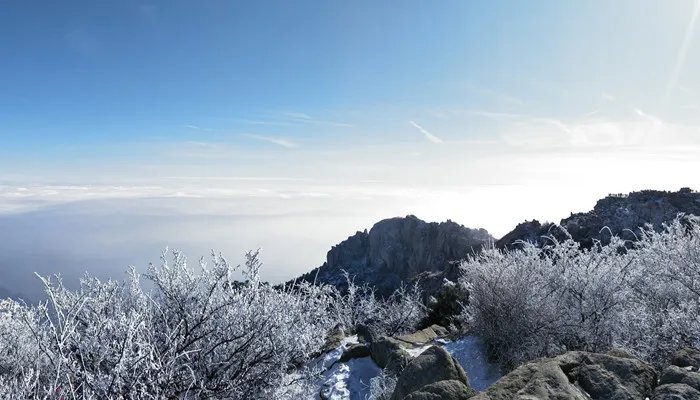 岱宗是指哪座山 岱宗是哪个山