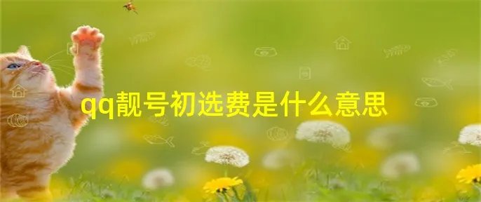 qq靓号初选费是什么意思