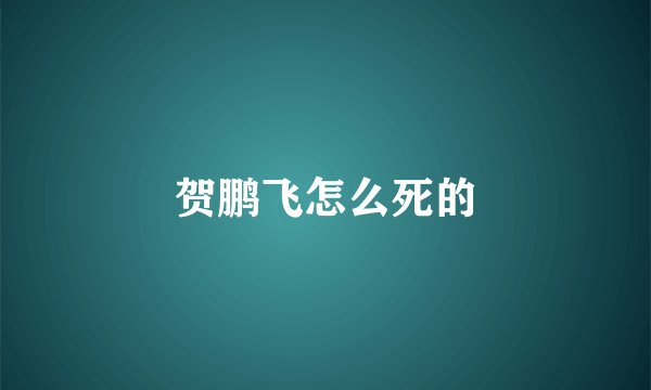 贺鹏飞怎么死的