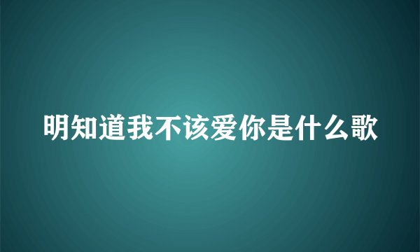 明知道我不该爱你是什么歌
