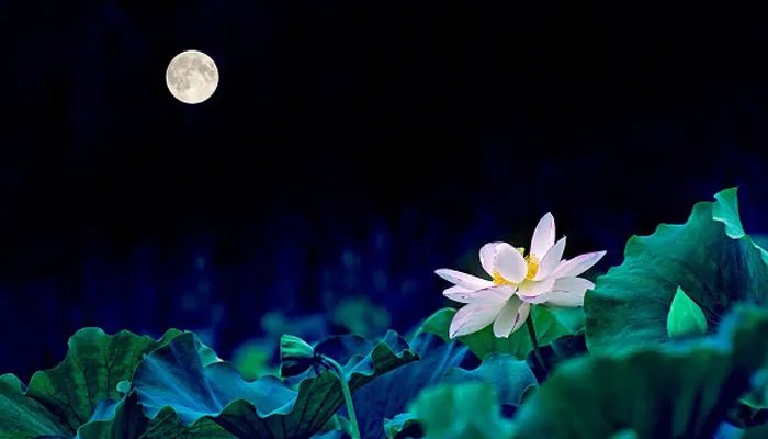 月相变化的原因 月相变化原因是什么