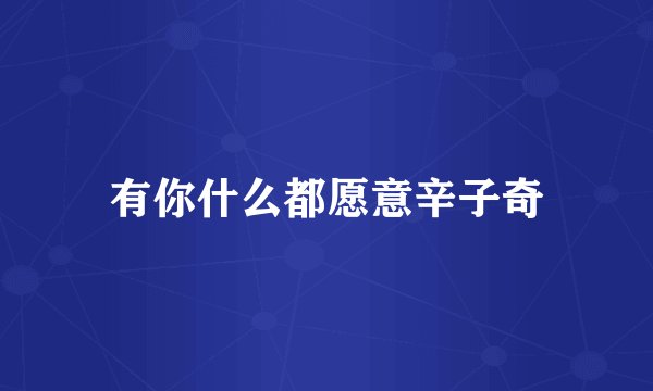 有你什么都愿意辛子奇