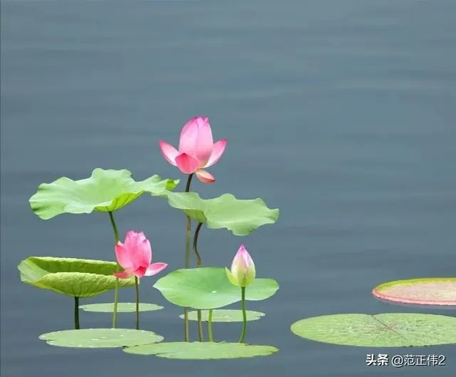 上海Costco从开业限流排队，而现在又排队退卡，十一假期还会排长队吗？