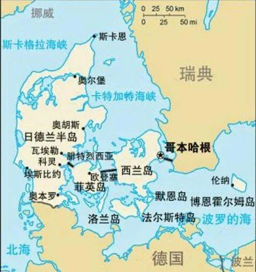 丹麦宣布捕杀1700万只水貂，这是为什么？