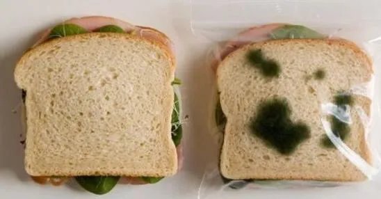 31岁小伙吃隔夜菜竟然瘫痪失明，那为什么那么多人吃隔夜菜都没事？