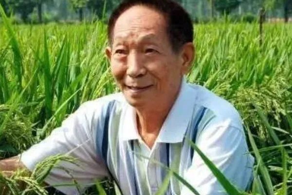 袁隆平在病危之际还关心稻子长势，稻子对于袁隆平意味着什么？