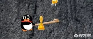 qq宠物停运论坛