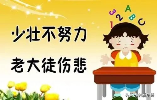 你有哪些喜欢的句子想要分享吗?