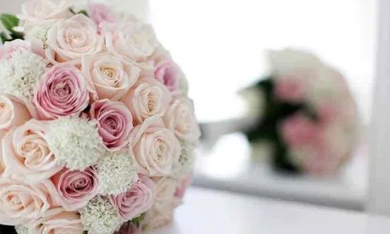 99朵玫瑰花语是什么 玫瑰花语每朵代表什么