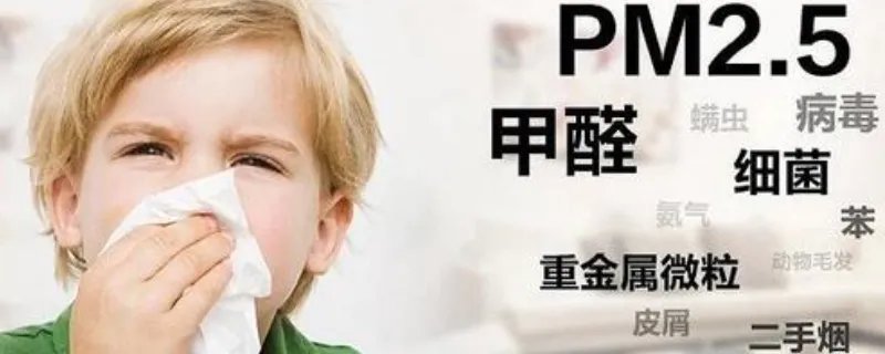 如何治理装修污染