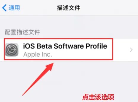 iPhone iOS怎么退出开发者计划