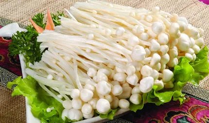 食材_金针菇窍门