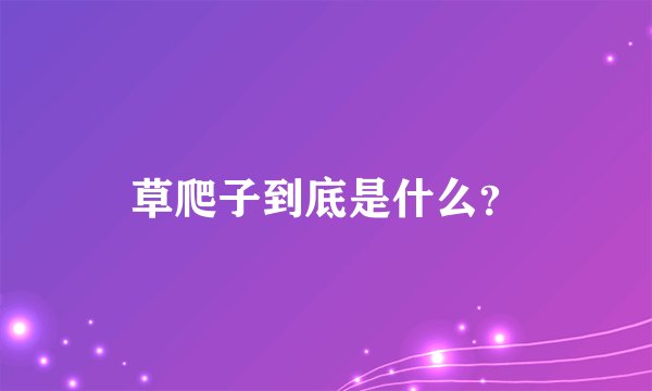 草爬子到底是什么?