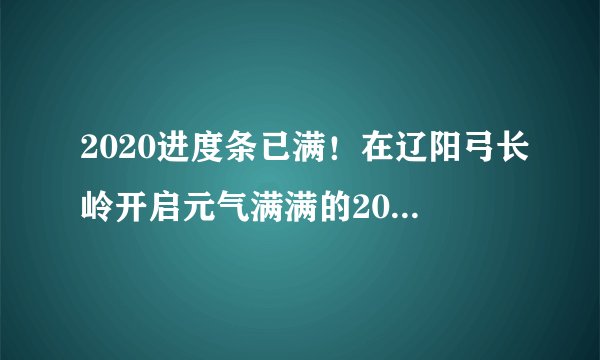 2020进度条已满！在辽阳弓长岭开启元气满满的2021吧~