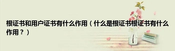 根证书和用户证书有什么作用（什么是根证书根证书有什么作用？）