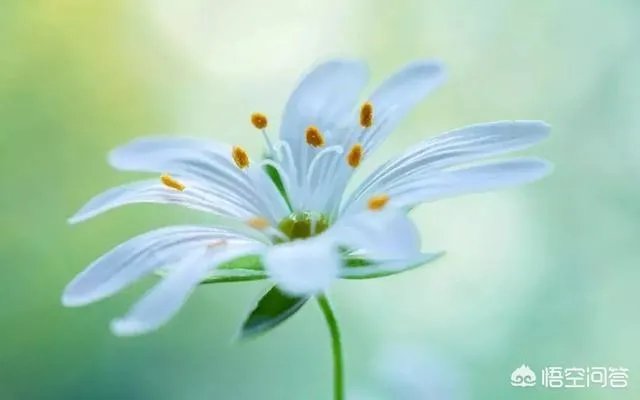 你有哪些喜欢的句子想要分享吗?