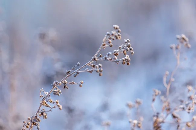 2021年冬至时间几点几分几秒 2021冬至是哪一天的什么时候