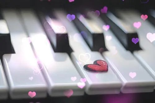 夏沫顾淮笙小说 夏沫顾淮笙免费阅读