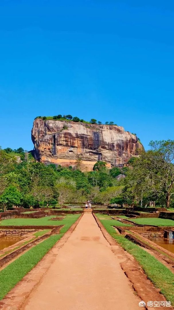 手机可以看的无广告视频网站