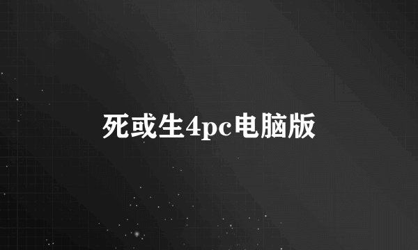 死或生4pc电脑版