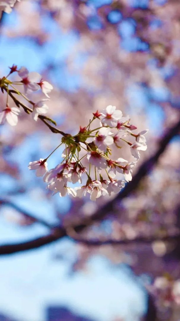 你有哪些喜欢的句子想要分享吗?