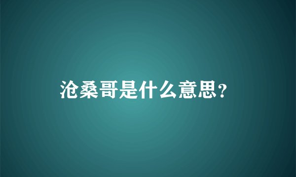 沧桑哥是什么意思？