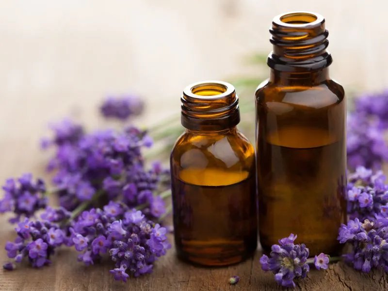 瘦身精油有用吗