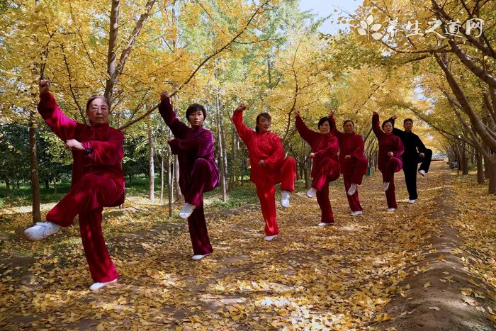 12道养身瘦身健康餐饮