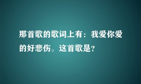 那首歌的歌词上有:我爱你爱的好悲伤。这首歌是?