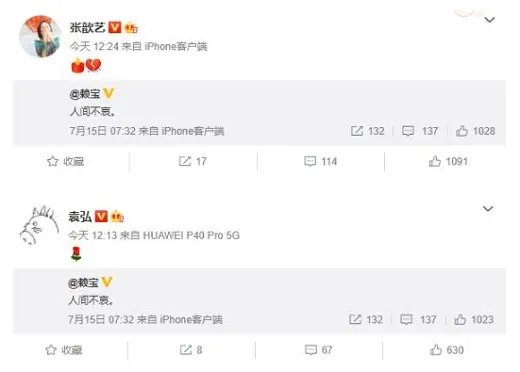 李诞悼念赖宝称好好睡吧哥 赖宝是谁赖宝原名叫什么